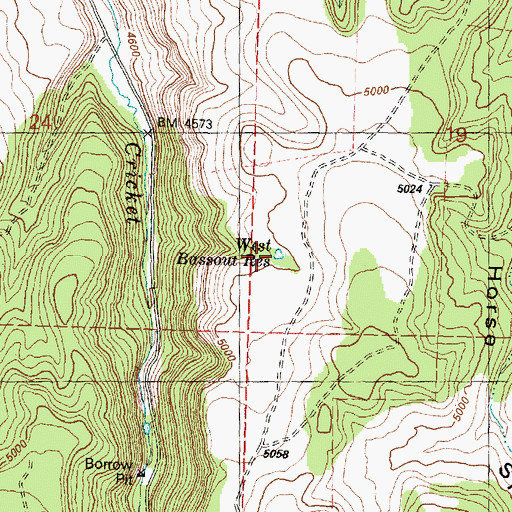 Topographic Map of West Bassout Reservoir, OR