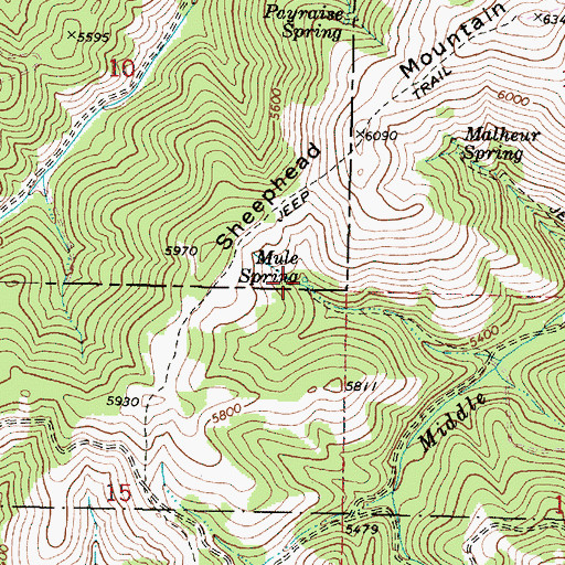 Topographic Map of Mule Spring, OR