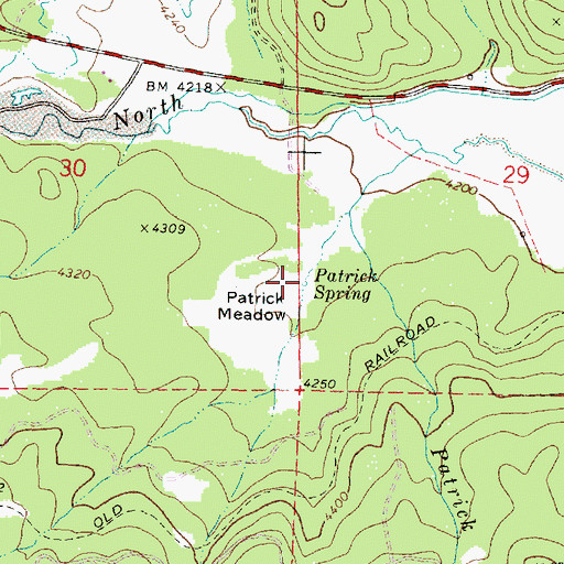 Topographic Map of Patrick Spring, OR