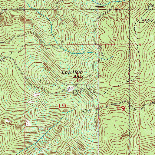 Topographic Map of Cow Horn Arch, OR