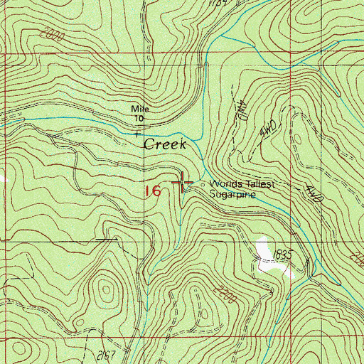 Topographic Map of Worlds Tallest Sugarpine, OR