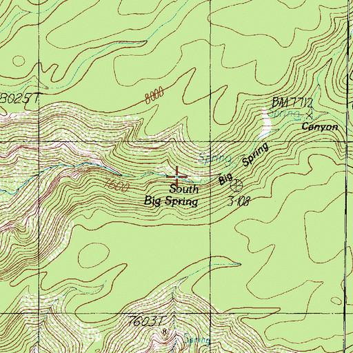 Topographic Map of South Big Spring, AZ