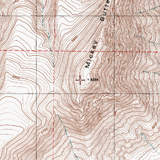 Topographic Map of Mickey Butte, OR