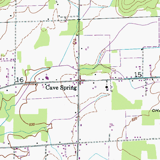 Topographic Map of Cave Spring, AL