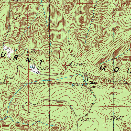 Topographic Map of Burnt Mountain, OR