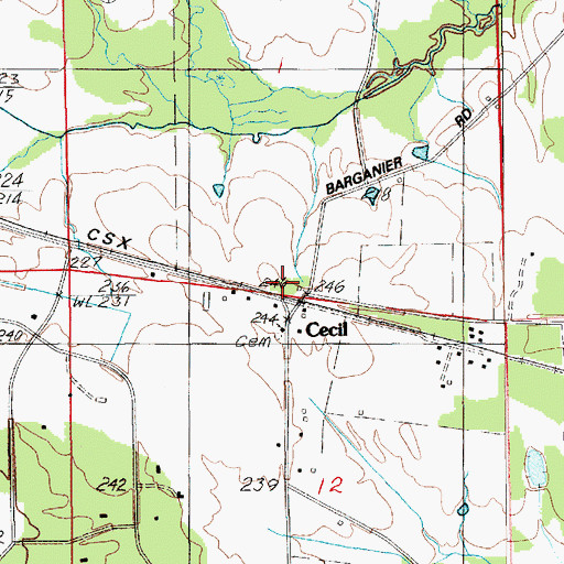 Topographic Map of Cecil, AL