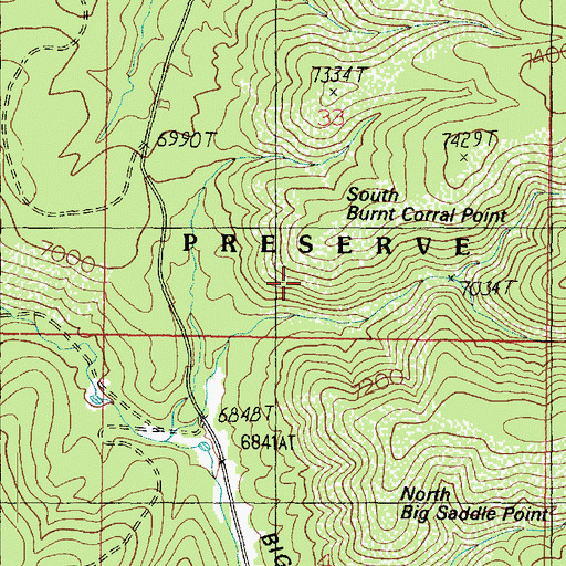 Topographic Map of South Burnt Corral Point, AZ