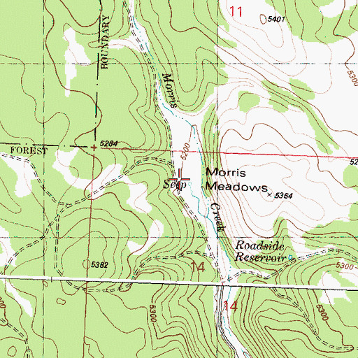 Topographic Map of Morris Meadows, OR