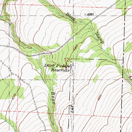Topographic Map of Duck Puddle Reservoir, OR