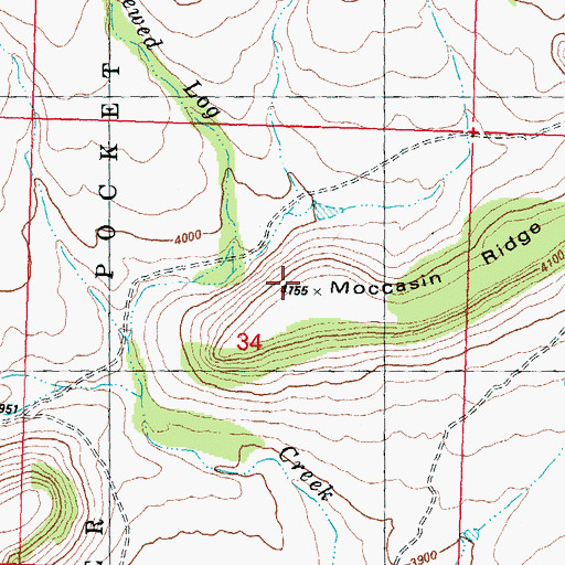 Topographic Map of Moccasin Ridge, OR