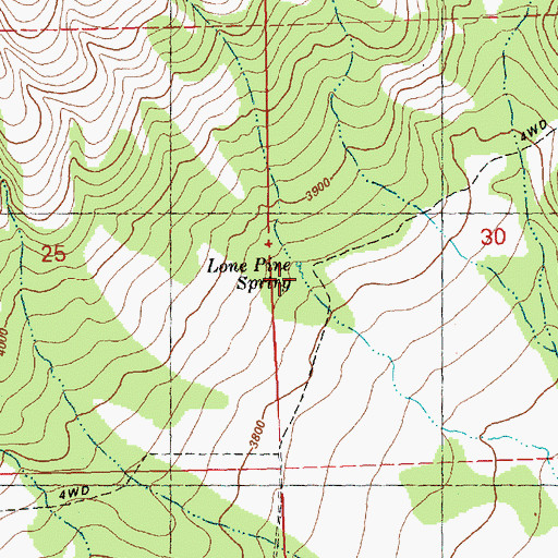 Topographic Map of Lone Pine Spring, OR