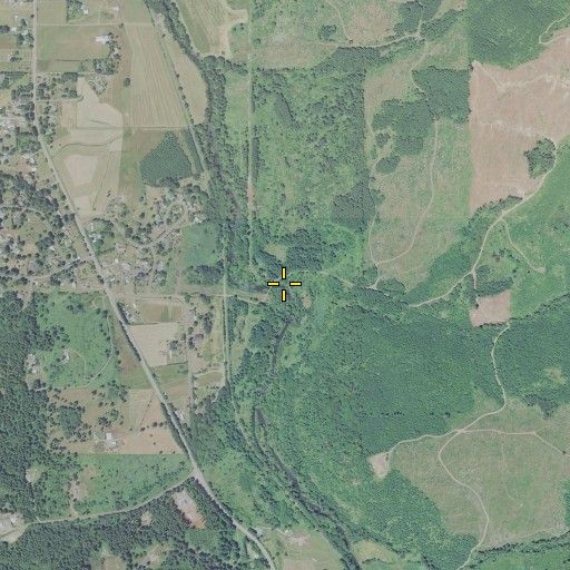Aerial/Satellite Image of Wallace Creek, OR