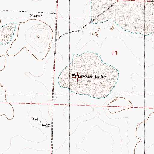 Topographic Map of Papoose Lake, OR