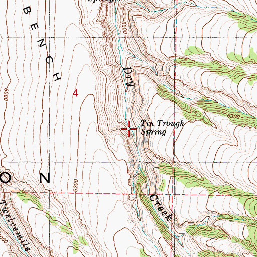 Topographic Map of Tin Trough Spring, OR