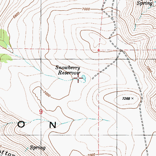 Topographic Map of Snowberry Reservoir, OR