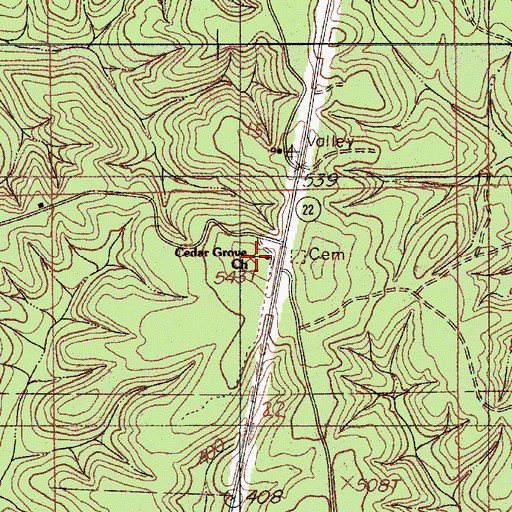 Topographic Map of Cedar Grove Church, AL