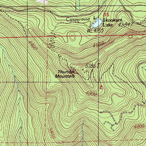 Topographic Map of Thunder Mountain, OR