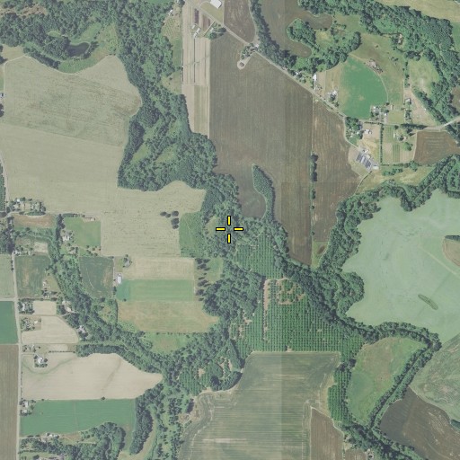 Aerial/Satellite Image of Baker Creek, OR