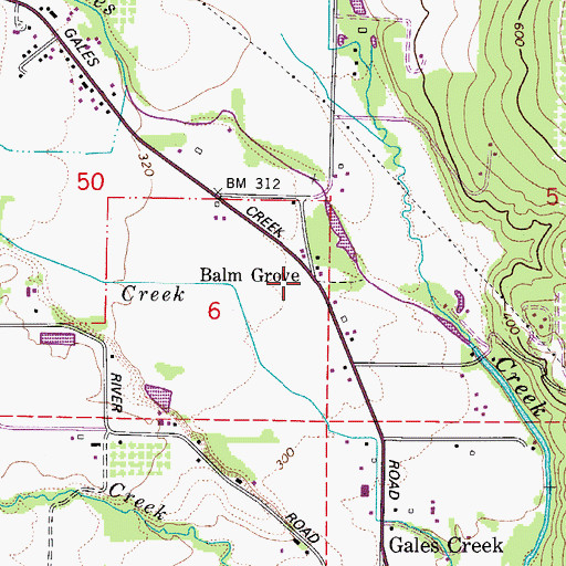 Topographic Map of Balm Grove, OR