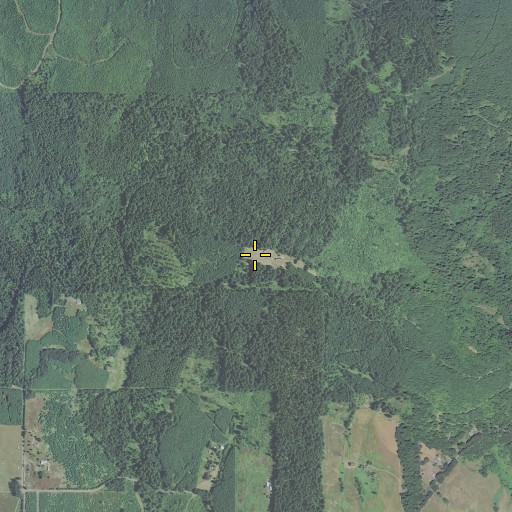 Aerial/Satellite Image of Mount Richmond, OR