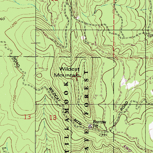 Topographic Map of Wildcat Mountain, OR