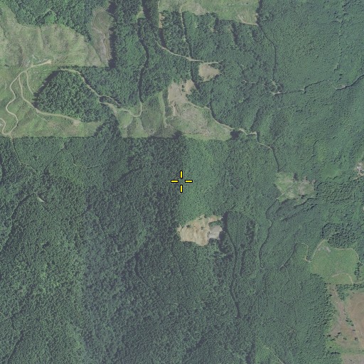 Aerial/Satellite Image of Wildcat Mountain, OR