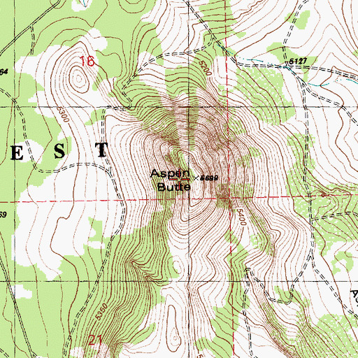 Topographic Map of Aspen Butte, OR