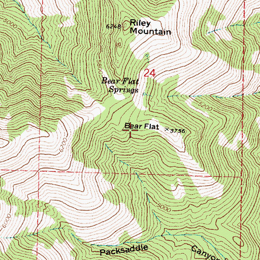 Topographic Map of Bear Flat, OR