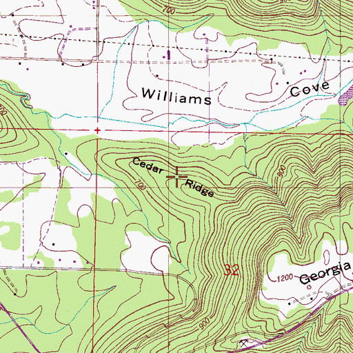 Topographic Map of Cedar Ridge, AL