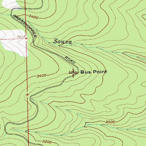 Topographic Map of Bus Point, OR