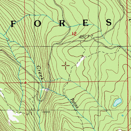 Topographic Map of Eagle Camp, OR