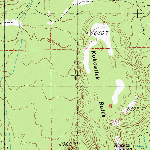 Topographic Map of Kokostick Butte, OR