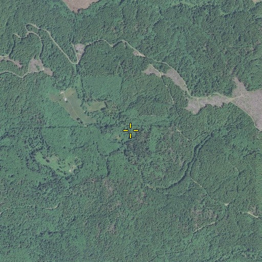 Aerial/Satellite Image of Lilleas, OR