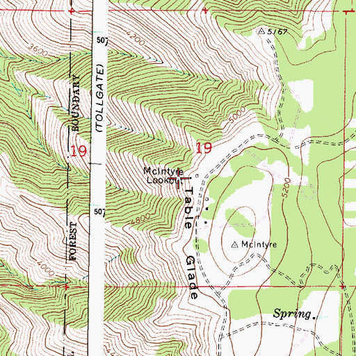 Topographic Map of McIntyre Lookout, OR