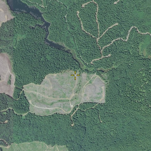 Aerial/Satellite Image of Neverstill, OR