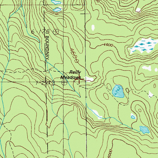 Topographic Map of Reilly Meadows, OR