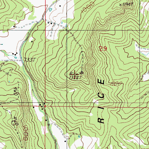 Topographic Map of Rice Hill, OR