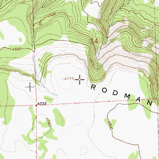 Topographic Map of Rodman Rim, OR