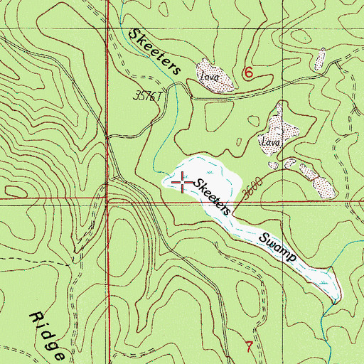 Topographic Map of Skeeters Swamp, OR