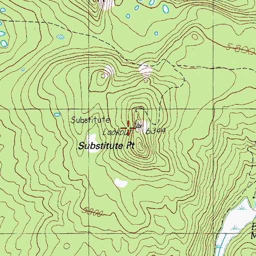 Topographic Map of Substitute Point, OR