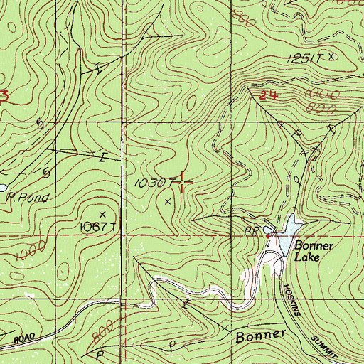 Topographic Map of Bonner Mountain, OR
