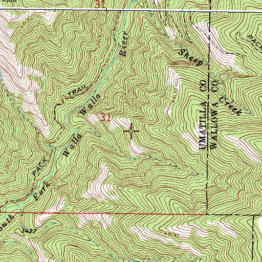 Topographic Map of Skookum Creek, OR