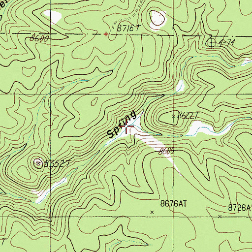 Topographic Map of South Fork Big Spring Canyon, AZ