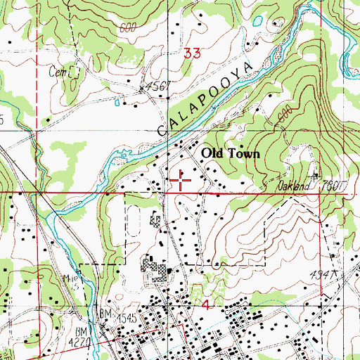 Topographic Map of Old Town, OR