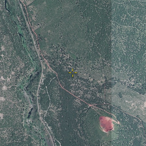 Aerial/Satellite Image of Buckeroo Spring, OR