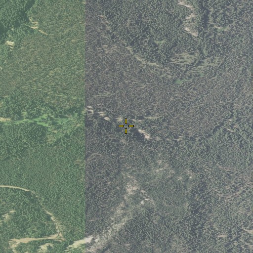 Aerial/Satellite Image of Dutton Creek, OR