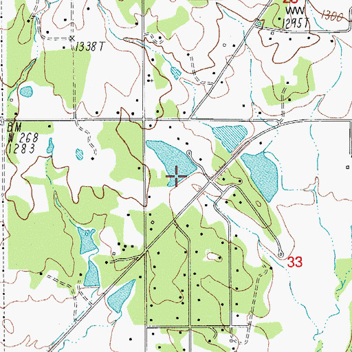 Topographic Map of Lester James Dam, OR