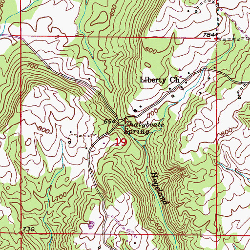 Topographic Map of Chalybeate Spring, AL