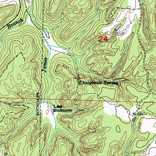 Topographic Map of Chalybeate Spring, AL