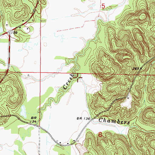 Topographic Map of Chambers Branch, AL